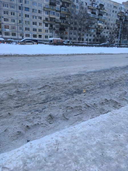 жалобы петербуржцев на неубранный снег | Источник: фото с сайта gorod.kis.gov.spb.ru