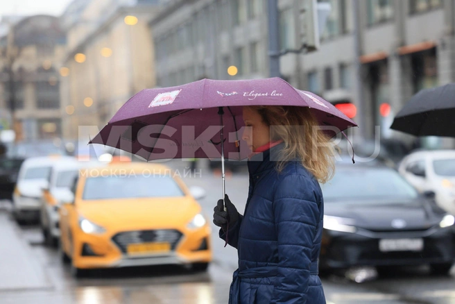 В Москве прошел дождь  | Источник: Артем Устюжанин / MSK1.RU