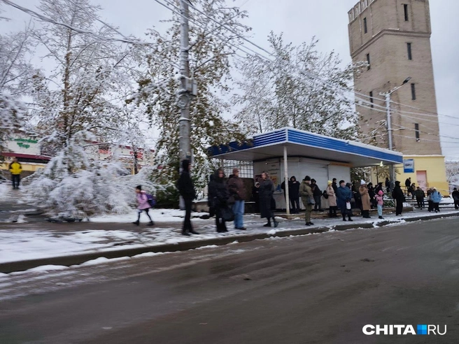 Источник: Руслан Симушин / CHITA.RU
