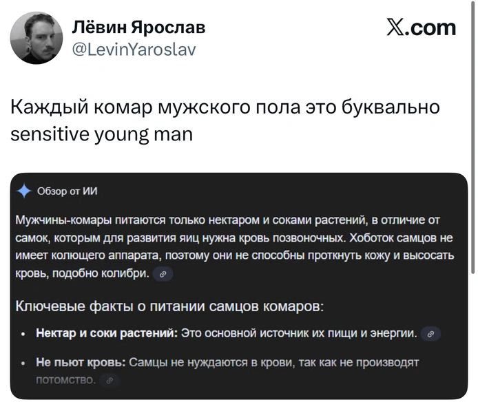Источник: X (Twitter)