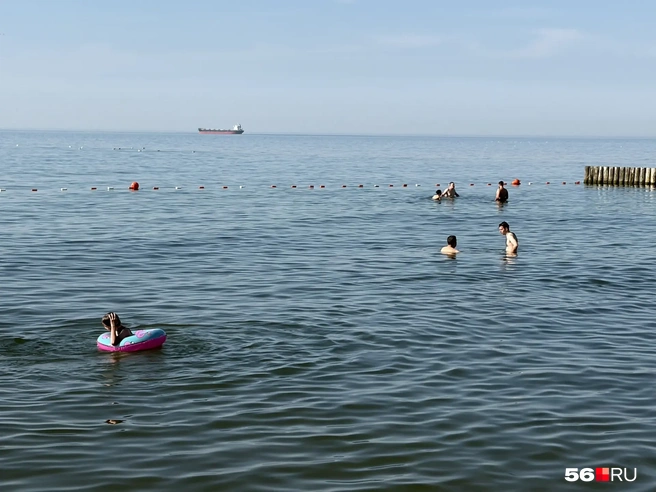 Купающиеся в Балтийском море совсем не боятся соленой воды | Источник: Николай Сальников / 56.RU