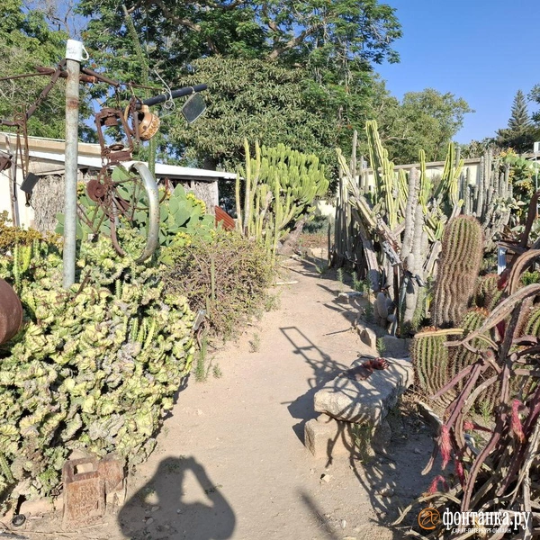 Источник: Ирина Багликова / «Фонтанка.ру»