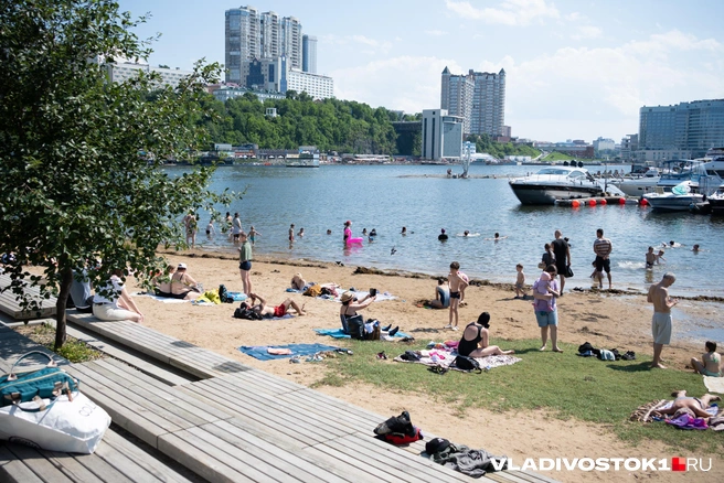 Источник: Елена Буйвол / VLADIVOSTOK1.RU