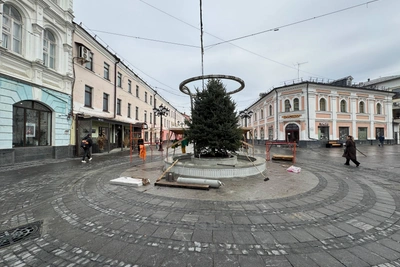 В фонтане на улице Кирова в Ярославле установили ель