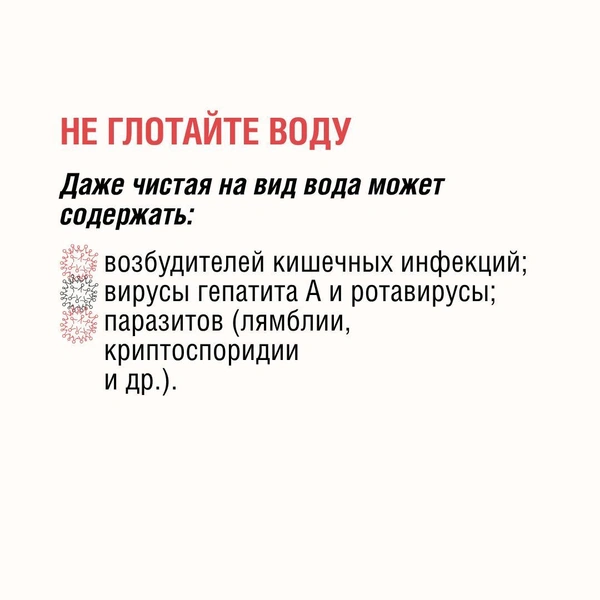 Источник: Роспотребнадзор Санкт-Петербург и Ленинградская область