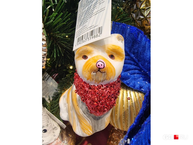 Свинопес? Свинокот? | Источник: Роман Данилкин / 63.RU