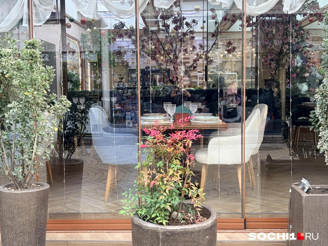 Заведения в праздники пустовали  | Источник: Анна Грицевич / SOCHI1.RU