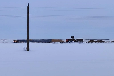 В Башкирии вывозят оставленное на поле зерно