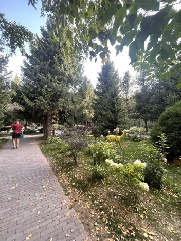 Но чтобы так было, за зеленью нужно ухаживать  | Источник: предоставлено Натальей Варфоломеевой 