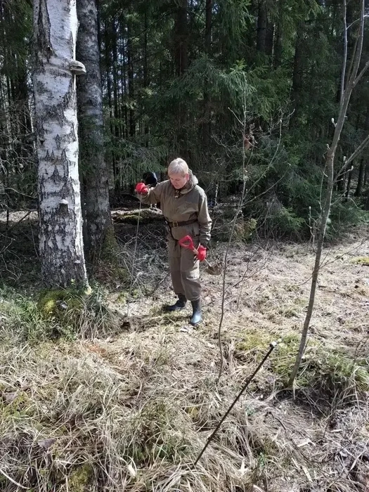 Источник: files.sudrf.ru