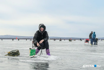 Источник: Олег Фёдоров / CHITA.RU