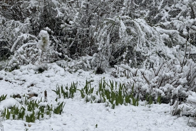 Солнечный день в Рязани: прогноз на 22 апреля