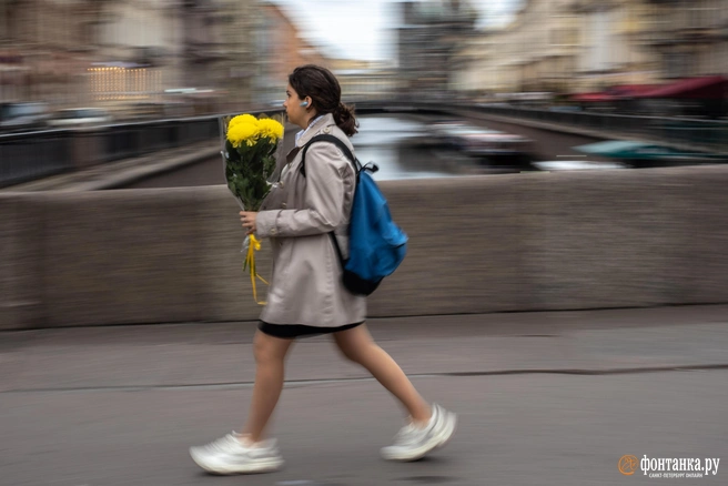 Проводятся проверки | Источник: Михаил Огнев / FONTANKA.RU