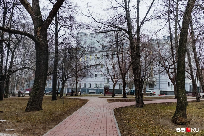 Большую часть недели в Прикамье будет теплая для ноября погода | Источник: Тимофей Калмаков