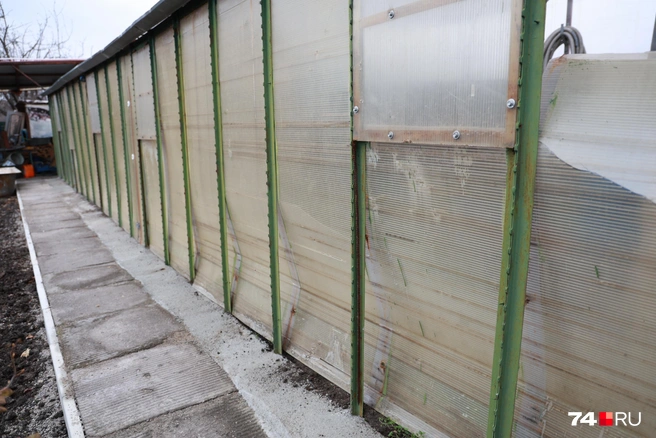 Удар пришелся по теплице | Источник: Михаил Шилкин