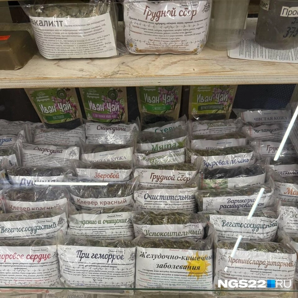 Различные травяные чаи | Источник: Полина Шевчукова / NGS22.RU