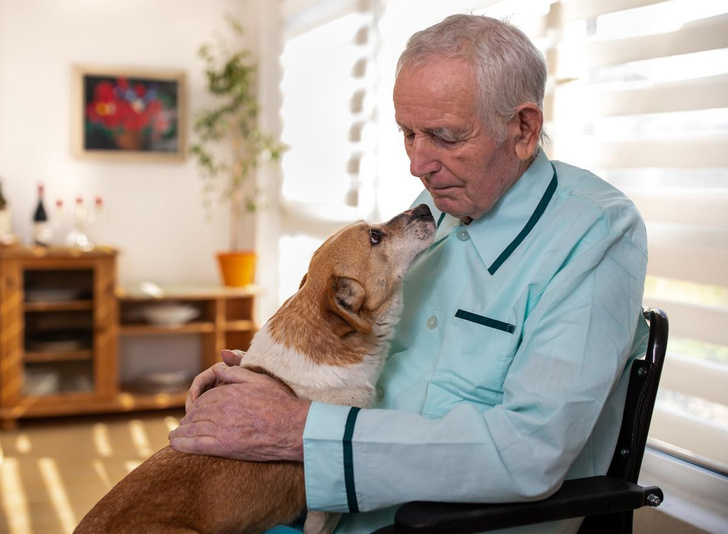 Силой собачьей любви: как ваш пес спасает ваше ментальное здоровье