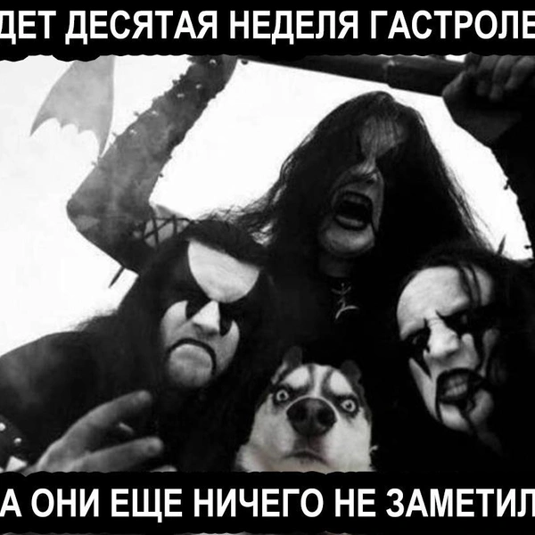 Источник: соцсети