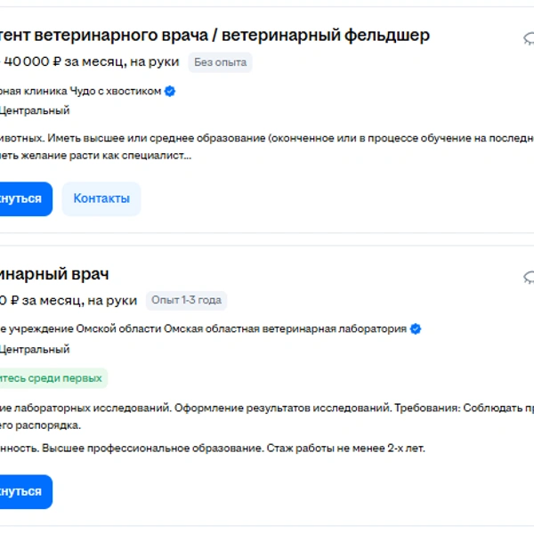Источник: omsk.hh.ru