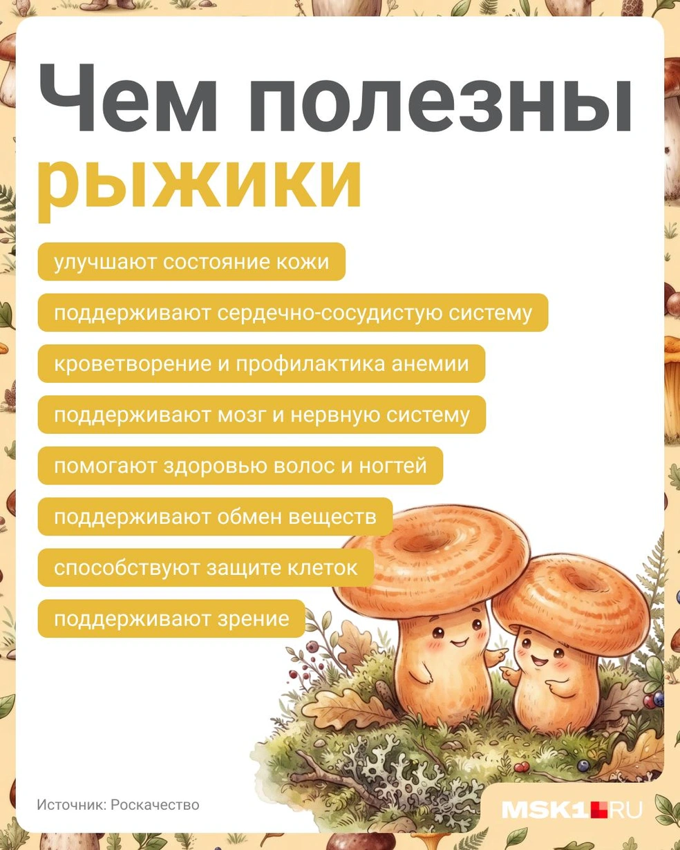 Такие маленькие грибы, и так много пользы | Источник: Полина Авдошина / Городские медиа