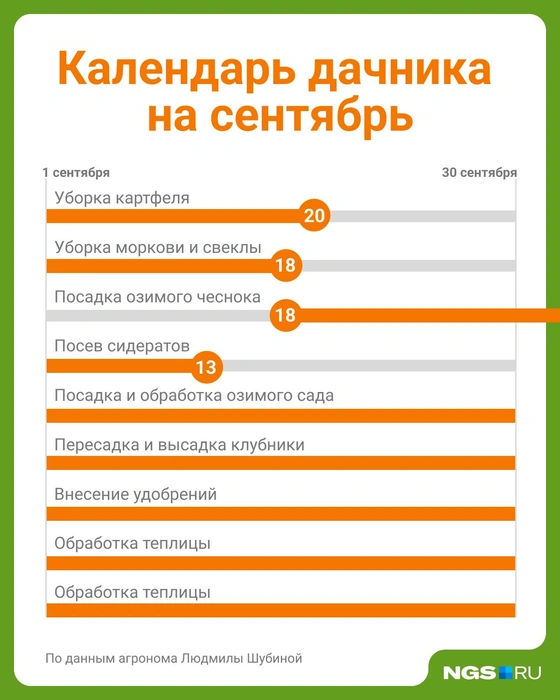 Источник: Юрий Орлов / Городские медиа