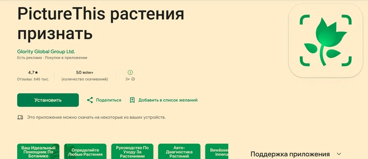 Источник: скриншот