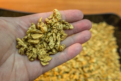 Забайкалец нашел золото и обрез, спрятал и попался пограничникам