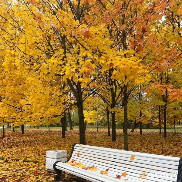 Источник: читатель «Фонтанки»