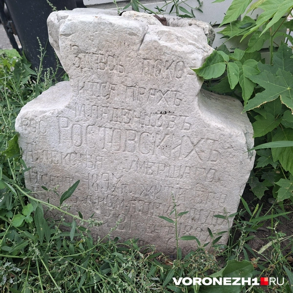 Источник: Алёна Воропаева / Voronezh1.ru