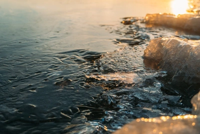 Высокое содержание марганца выявлено в четырех реках Омской области