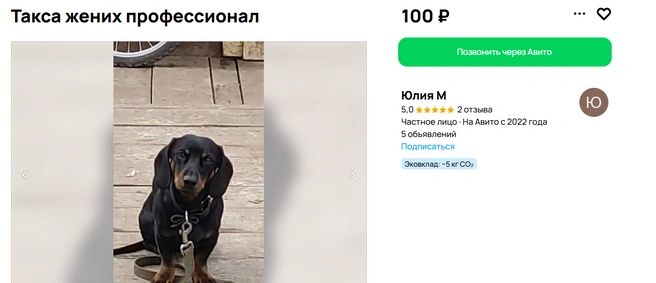 Источник: Avito.ru