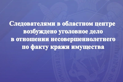 Подросток в Южно-Сахалинске обвиняется в краже на 390 тыс. рублей