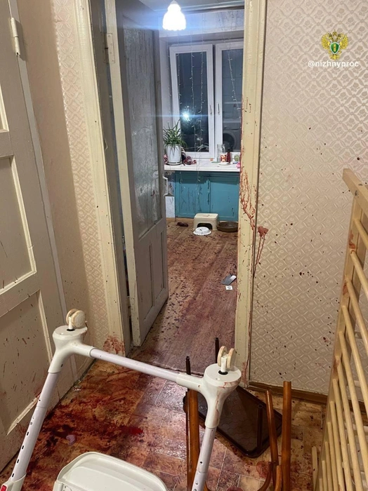 Источник: прокуратура по Нижегородской области