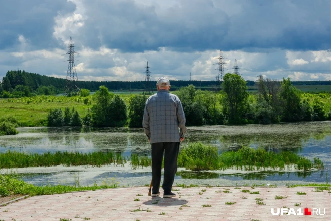 Озеро превратилось в болото | Источник: Булат Салихов / UFA1.RU