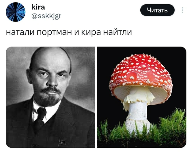 Здесь обыгрывается старая шутка, порожденная музыкантом Сергеем Курехиным в 1990-х годах: «Ленин — гриб» | Источник: X (Twitter)
