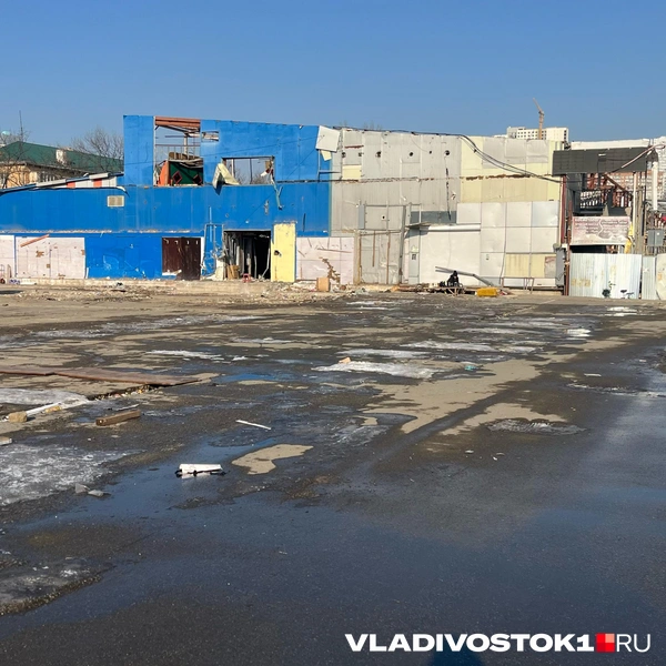 Источник: Елена Буйвол / VLADIVOSTOK1.RU