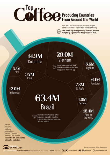 Инфографика: ведущие страны мира по производству кофе