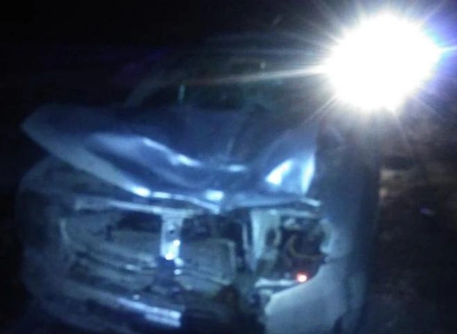 В Пронском районе Renault Duster насмерть сбил 60-летнюю женщину | ya62.ru