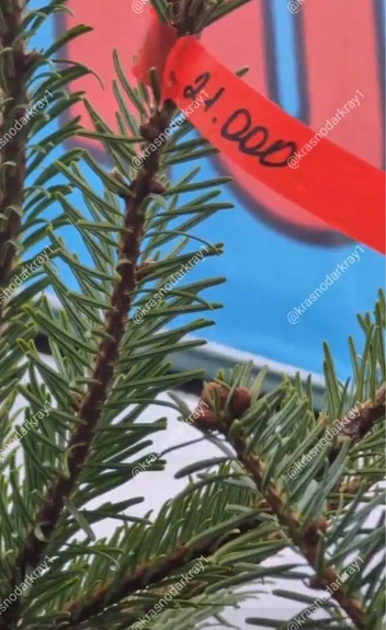 Источник: krasnodarkray1 / T.me