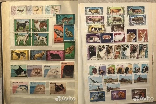 На марках есть коты и собаки разных пород | Источник: «Авито»