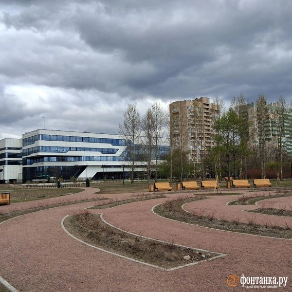В парке появился декоративный зеленый лабиринт | Источник: Анна Мотовилова / «Фонтанка.ру»