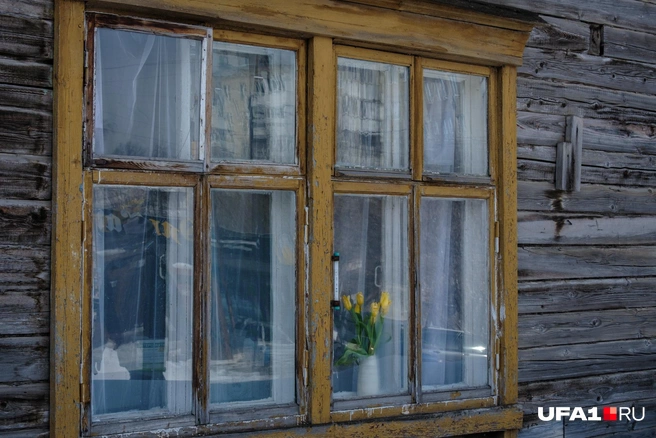 А в них, кстати, цветочки | Источник: Булат Салихов / UFA1.RU