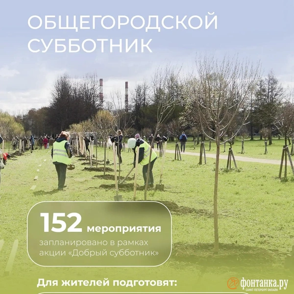 Источник: правительство Петербурга