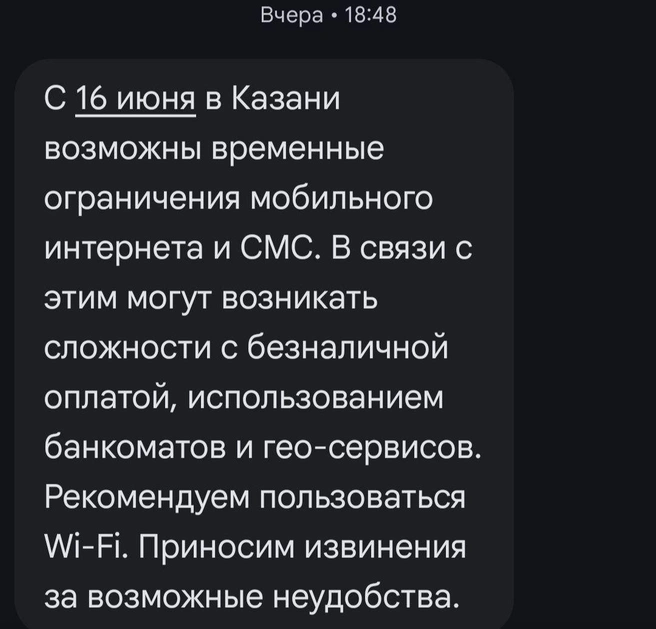 Источник: Дарья Елисейчева / 116.RU