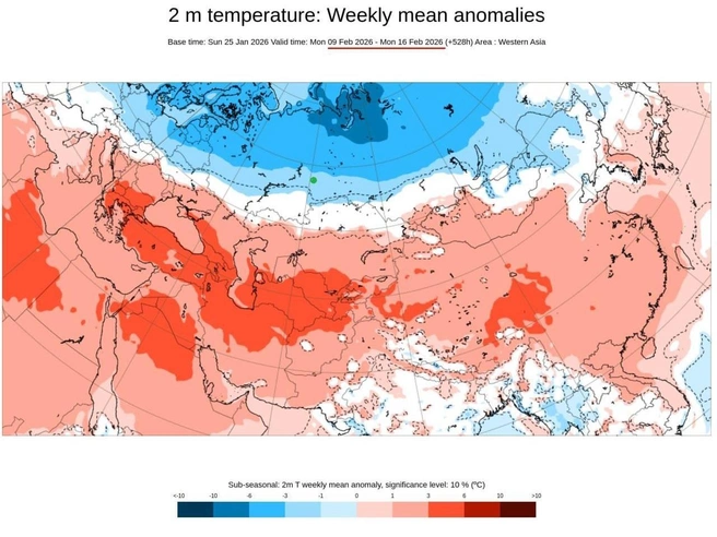 С 9 по 16 февраля станет немного теплее, но холода сохранятся. | Источник: ECMWF