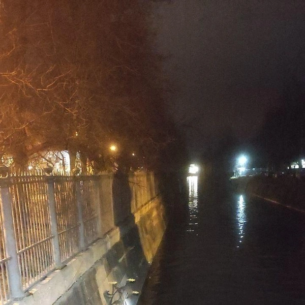 Источник: Кошкиспас