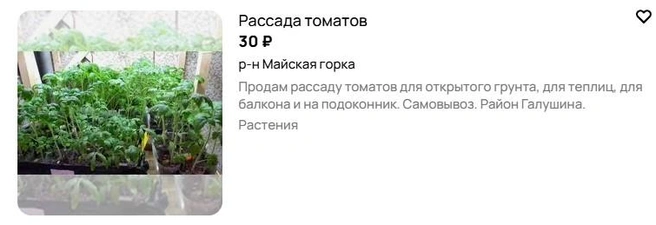Источник: Avito.ru