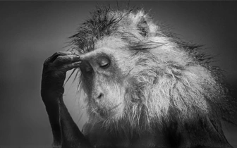 Все оттенки серого: подведены итоги конкурса черно-белых фотографий Exposure One Awards 2025