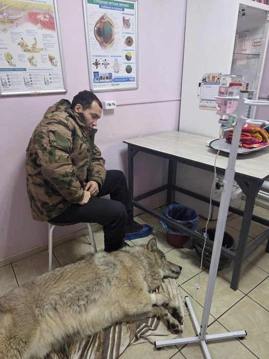 Каждый день Серёга ездит на капельницы | Источник: «Сибирский зоопарк» / Telegram
