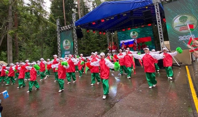Источник: pskov.ru